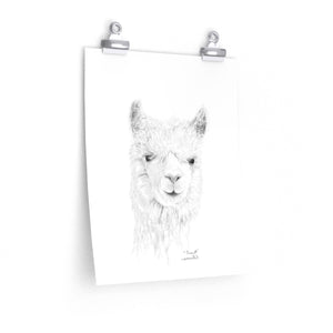 PRESCOTT Llama- Art Paper Print