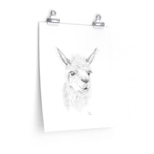 Dawn Llama- Art Paper Print