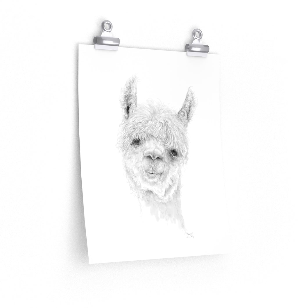 MASON Llama- Art Paper Print