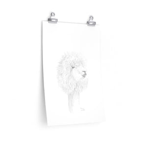 MIRIAM Llama- Art Paper Print