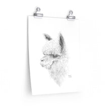 JACKSON Llama- Art Paper Print