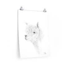 JONAH Llama- Art Paper Print