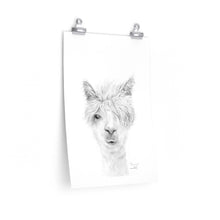 DANNY Llama- Art Paper Print