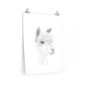 ANNE Llama- Art Paper Print