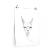 JOEY Llama- Art Paper Print