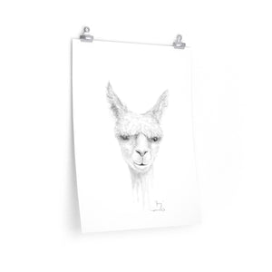 JOEY Llama- Art Paper Print