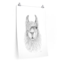 CHRIS Llama- Art Paper Print