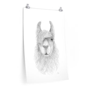 CHRIS Llama- Art Paper Print