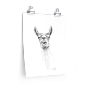 KAIN Llama- Art Paper Print