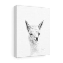 ROSIE Llama - Art Canvas