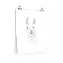 KAHLIE Llama- Art Paper Print