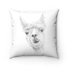 Llama Pillow - ZACH