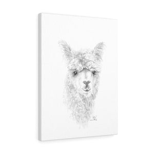KATIE Llama - Art Canvas