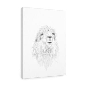 MAX Llama - Art Canvas