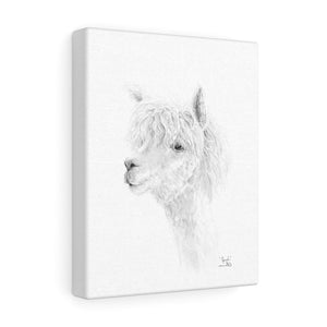 JONAH llama- Art Canvas