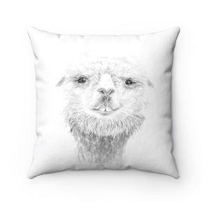 Llama Pillow - DREW