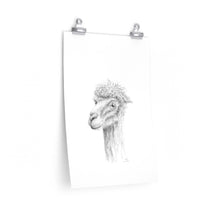 WILL Llama- Art Paper Print