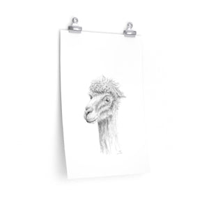 WILL Llama- Art Paper Print