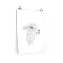 JERRY Llama- Art Paper Print