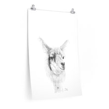 ADAM Llama- Art Paper Print