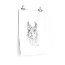 ALLYN Llama- Art Paper Print