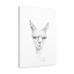 JOEY Llama - Art Canvas