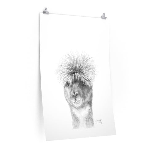 RICHMOND Llama- Art Paper Print