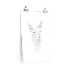 ELLIE Llama- Art Paper Print