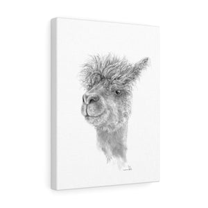 COCO Llama - Art Canvas