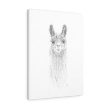 KARI Llama - Art Canvas