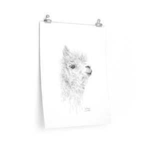 GIULIANA Llama- Art Paper Print