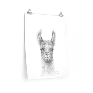 KELLY Llama- Art Paper Print