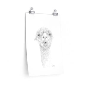 CHRISTOPHER Llama- Art Paper Print