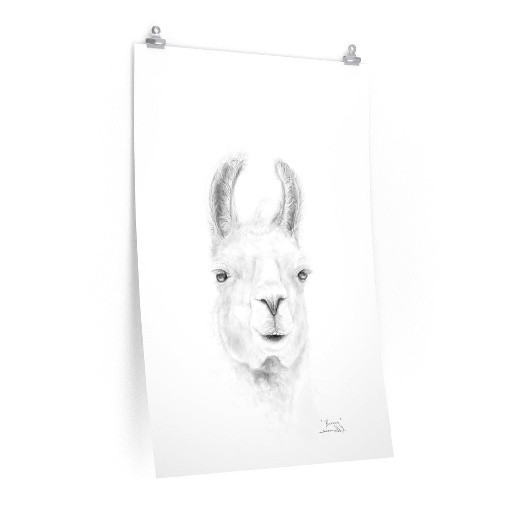 BROWN Llama- Art Paper Print