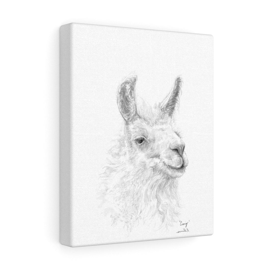 CRAIG llama- Art Canvas