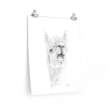 LANTY Llama- Art Paper Print