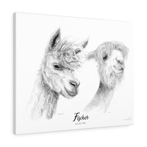 Fischer Llama - Portrait
