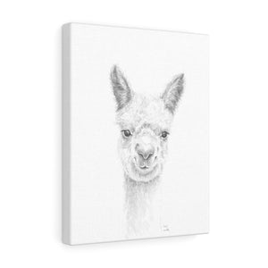 EDIS Llama - Art Canvas