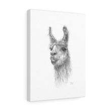 BETHANY Llama - Art Canvas