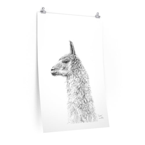 CASSIE Llama- Art Paper Print