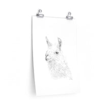 KEVIN Llama- Art Paper Print