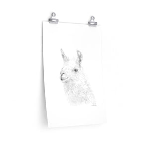 KEVIN Llama- Art Paper Print