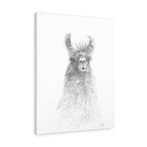 FRANCINE Llama - Art Canvas