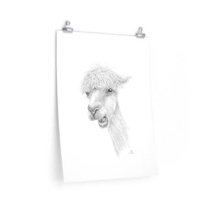 TYLER Llama- Art Paper Print