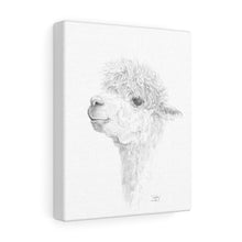 HADLEY Llama - Art Canvas