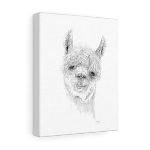MASON Llama - Art Canvas