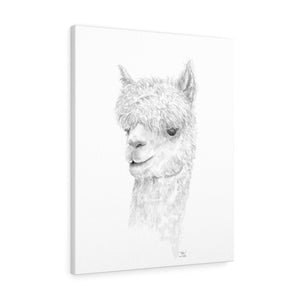 DYLAN Llama - Art Canvas