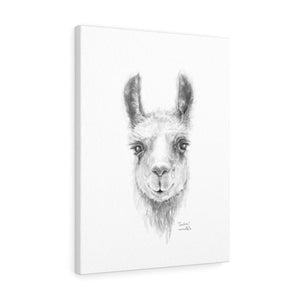 CAROLINE Llama - Art Canvas