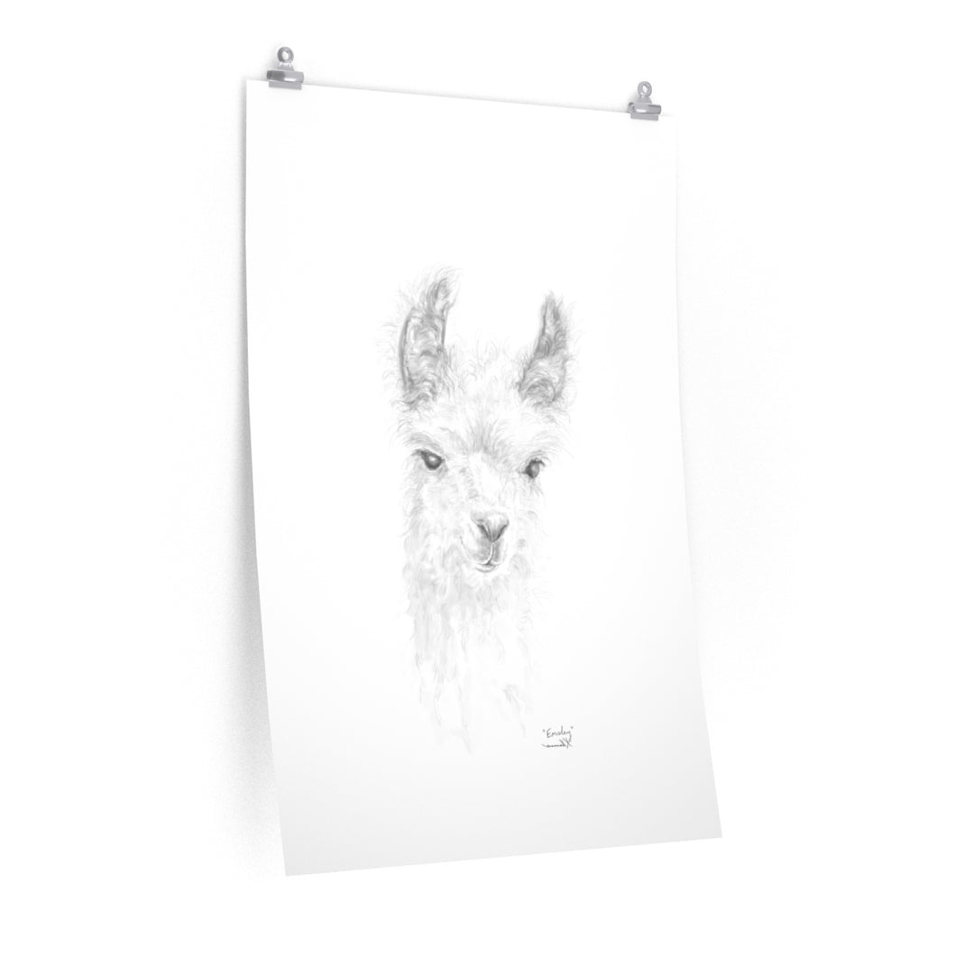 EMSLEY Llama- Art Paper Print