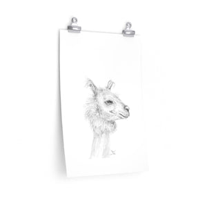 RYAN Llama- Art Paper Print